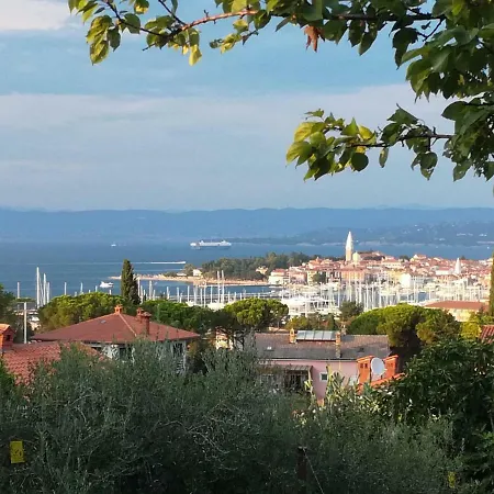 Jasmine * Izola